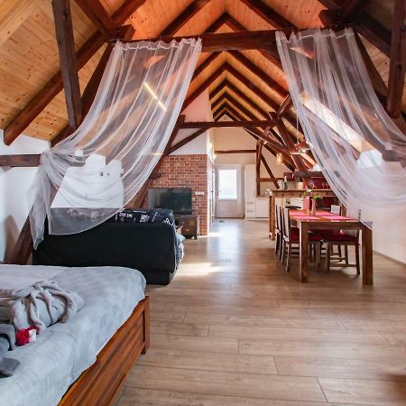 Penzion Na Barokni Ceste Wellness & Spa Plasy エクステリア 写真