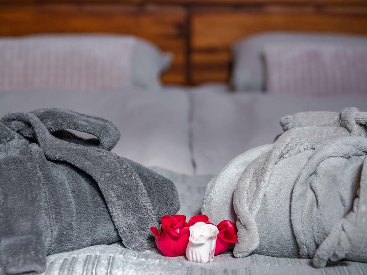 Penzion Na Barokni Ceste Wellness & Spa Plasy エクステリア 写真