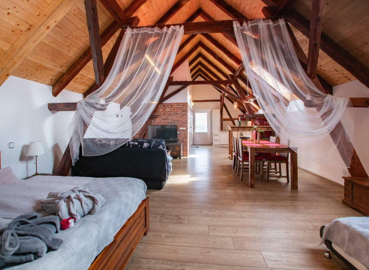 Penzion Na Barokni Ceste Wellness & Spa Plasy エクステリア 写真