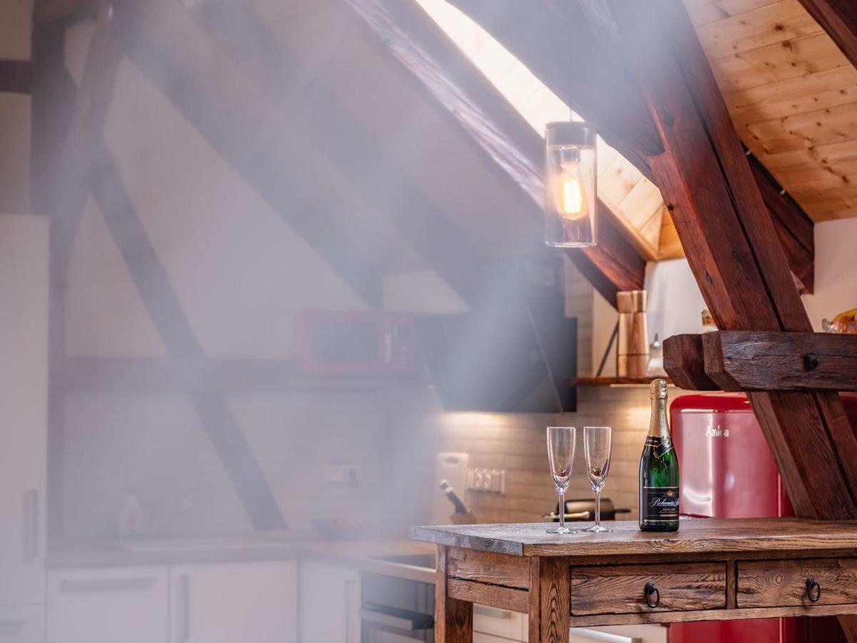 Penzion Na Barokni Ceste Wellness & Spa Plasy エクステリア 写真