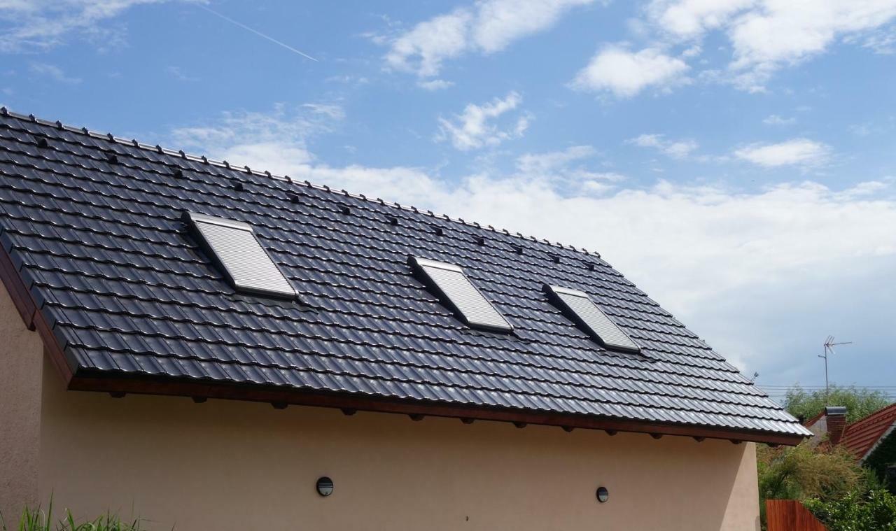Penzion Na Barokni Ceste Wellness & Spa Plasy エクステリア 写真